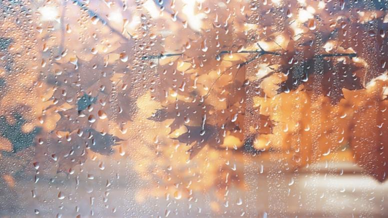 Pluie, vent et baisse des températures : l'automne s'installe