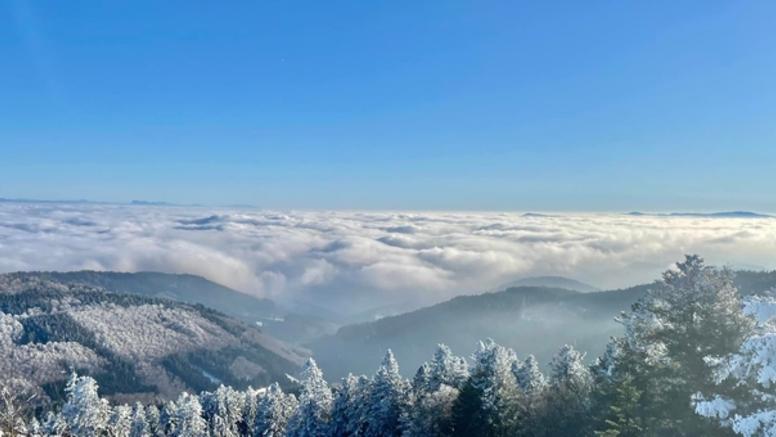 Décembre 2022 : entre froid hivernal et grande douceur