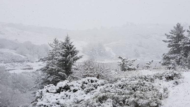 Retours d'est : près d'un mètre de neige sur les Alpes frontalières