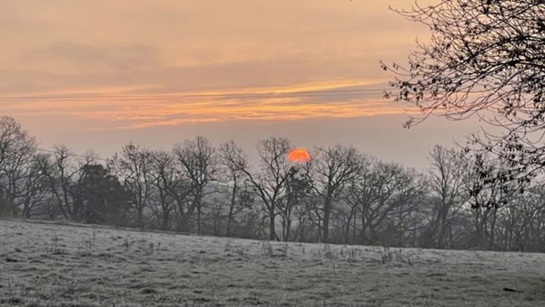 Janvier 2023 : entre douceur exceptionnelle et froid vif