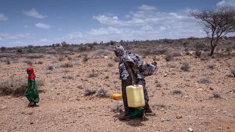 Sécheresse en Afrique : 43 000 morts en 2022 en Somalie