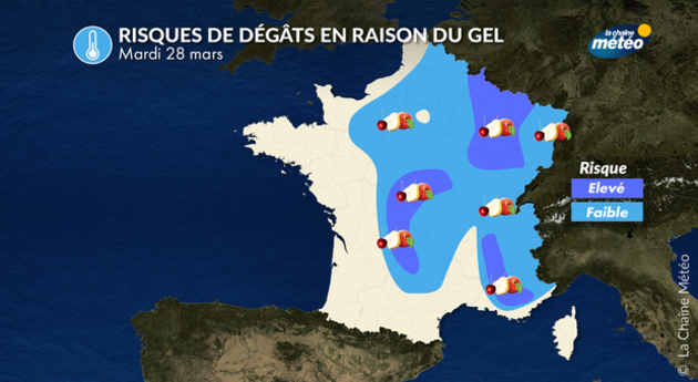 Gelées mardi 28 mars : risque pour les fuitiers Actualités France