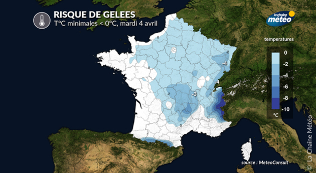 Risque de gelées Actualités France