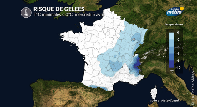 Risque de gelées Actualités France