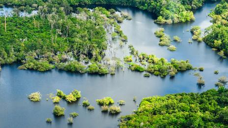 Brésil : à la rencontre des fleuves Rio Solimões et Rio Negro