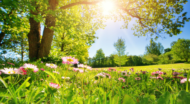 Printemps Actualités France