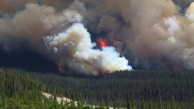 Canada : plus de 400 000 ha partis en fumée en Alberta