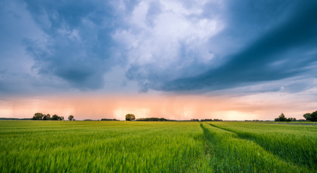 météo orageuse et champ Actualités France