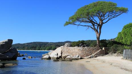 Corse du Sud : sentier nature et snorkeling à Tamarriciu