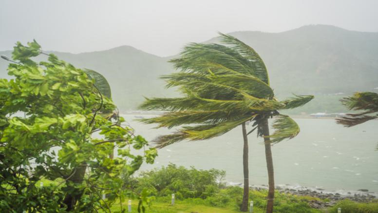 Tempête tropicale Bret : fin de la vigilance cyclonique rouge