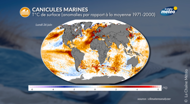Anomalies des eaux de surface des mers Actualités France