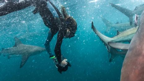 Immersion avec Francine Kreiss, dans les merveilles des profondeurs