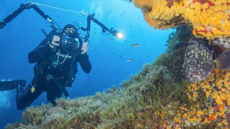 Quel matériel pour bien débuter la photo sous-marine ?