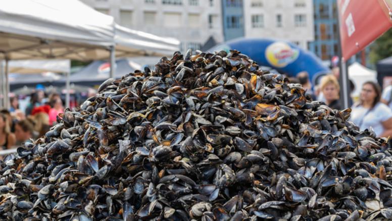 Braderie de Lille : les prévisions météo pour le plus grand marché aux puces d'Europe
