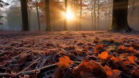 Saisons : l'automne météorologique débute ce lundi 1er septembre