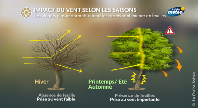 Actualité Météo : Après Ciaran, une nouvelle tempête nous concerne ce  week-end - METEO CONSULT - Prévisions METEO DETAILLEES à 15 jours - METEO  CONSULT