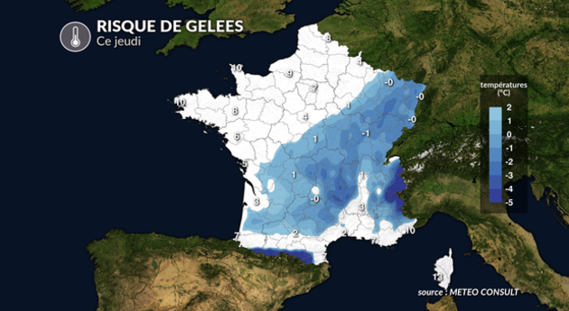 Risque de gelées Actualités France
