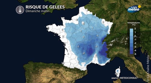 Risque de gel dimanche Actualités France