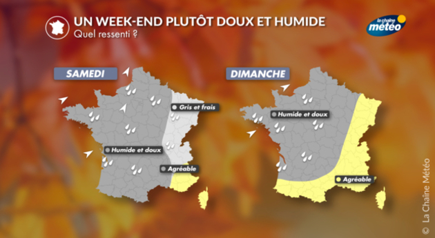Votre ressenti ce week-end Actualités France