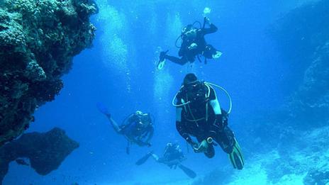 Île Maurice : épaves, failles, tombants... Partons plonger !