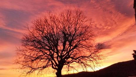 Actualité Météo : Tempête Aurore : comment expliquer une telle intensité ?  - METEO CONSULT - Prévisions METEO DETAILLEES à 15 jours - METEO CONSULT