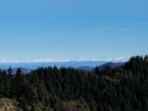 Au loin la barrière neigeuse des Alpes ! Actualités France