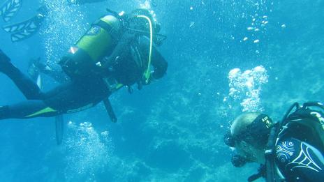 Où faire de la plongée dans les Cyclades ?