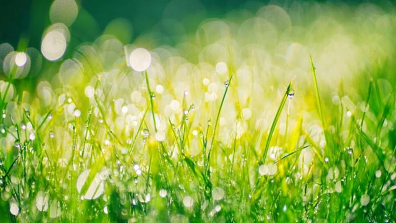 Le retour de la douceur sous la pluie en fin de semaine