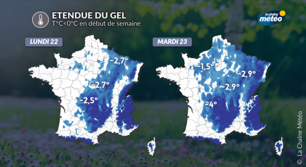 Etendue des gelées Actualités France