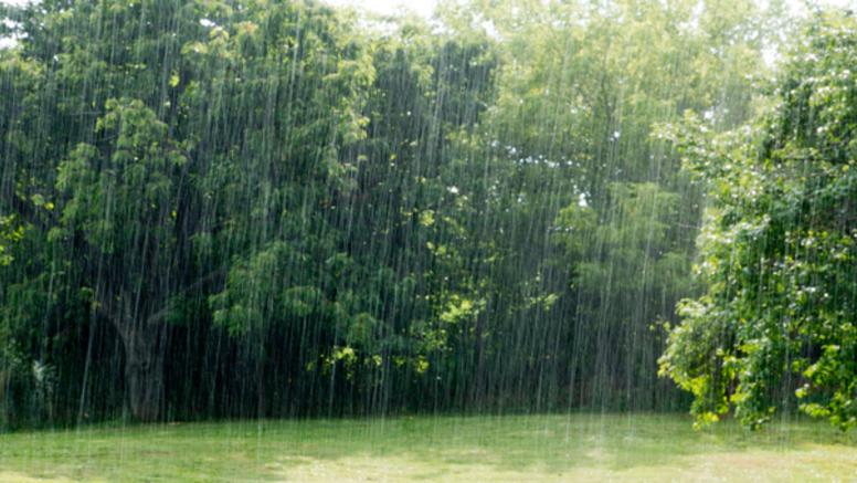 Enfin des pluies bénéfiques en Roussillon : à Perpignan, il n'avait pas autant plu depuis 2 ans !