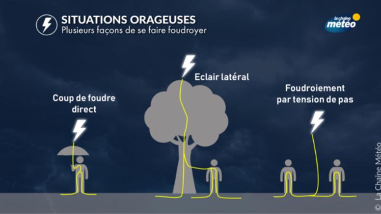 Foudre dans l’enceinte du zoo de La Barben : comment fonctionne la foudre et quelles sont ses caractéristiques ?