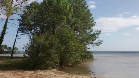 A la découverte des lacs de Biscarrosse