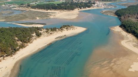 L'estuaire du Payré : une merveille de la côte vendéenne