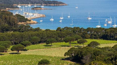 Les vins immergés à Porquerolles, interview Florent Audibert