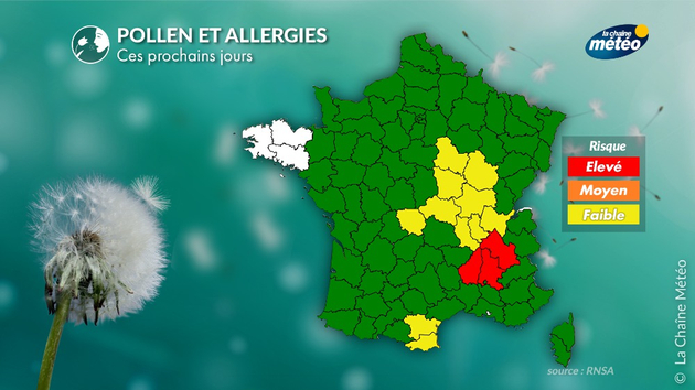 Risque allergo-pollinique Pollens Et Allergies