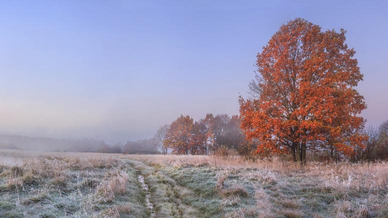 Jusqu'à 10°C de moins en 48h : chute brutale des températures attendue ce week-end
