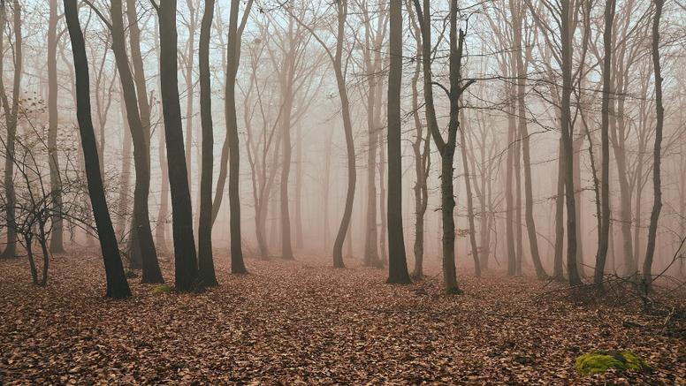 Novembre : ces changements météo auxquels vous n'échapperez pas