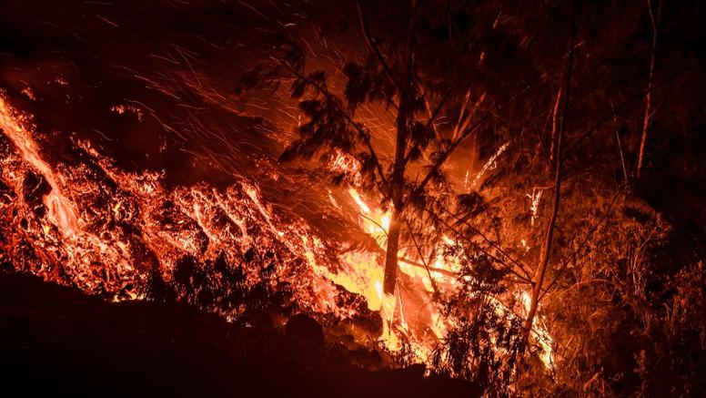 Mountain Fire : la banlieue de Los Angeles en proie aux flammes