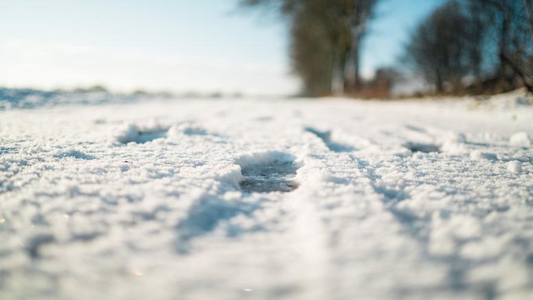 Chute des températures : brusque coup d'hiver mercredi