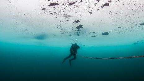La plongée sous glace : une aventure fascinante sous les eaux gelées