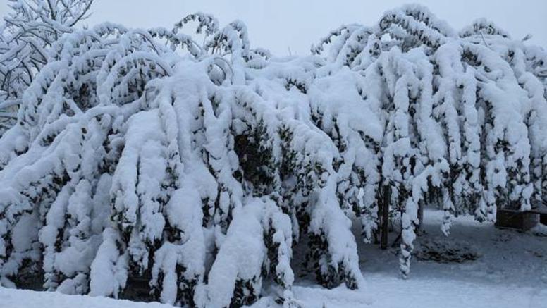 Tempête CAETANO : fin des intempéries ce vendredi matin