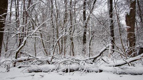 L'hiver météorologique débute lundi 1er décembre : voici les caractéristiques de cette saison en France
