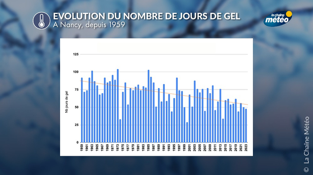 Le nombre de jours de gel est en diminution constante en France. Ici, Nancy Actualités France