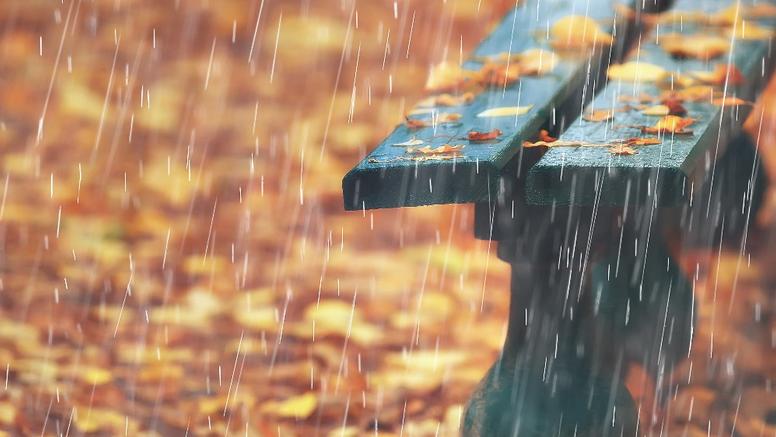 Bilan météo de l'automne 2024 : doux, humide et peu ensoleillé