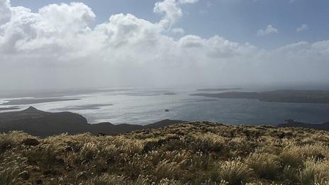 À la découverte des îles au sud de la Nouvelle-Zélande : un voyage vers la nature sauvage