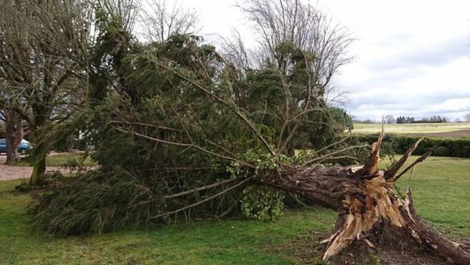 Actualité Météo : Suivi De La Dépression Floriane En France : Déjà 124 