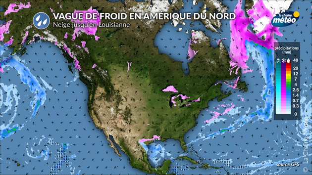 La neige est attendue sur le littoral du golfe du Mexique Actualités étranger