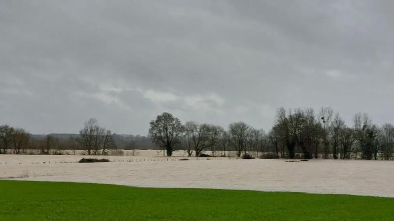 Bilan météo de janvier 2025 : des records de pluie dans l'ouest et de douceur dans l'est