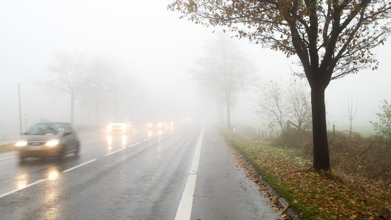 Grisaille et humidité : pourquoi cet hiver est-il si peu ensoleillé ?