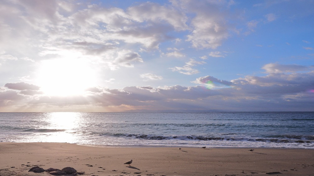 Ambiance printanière prévue pour cette semaine de vacances Actualités France